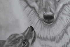 Wolf beschermt jong